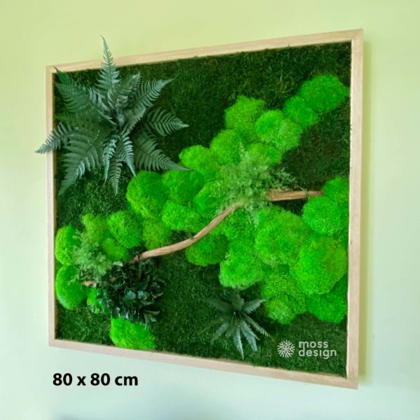 Machový obraz FOREST 80 x 80 cm