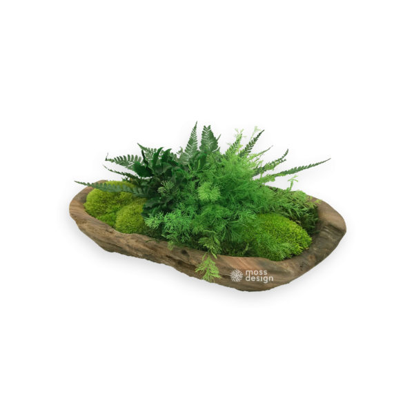 Palisandrová miska - rastliny a mach - 30cm