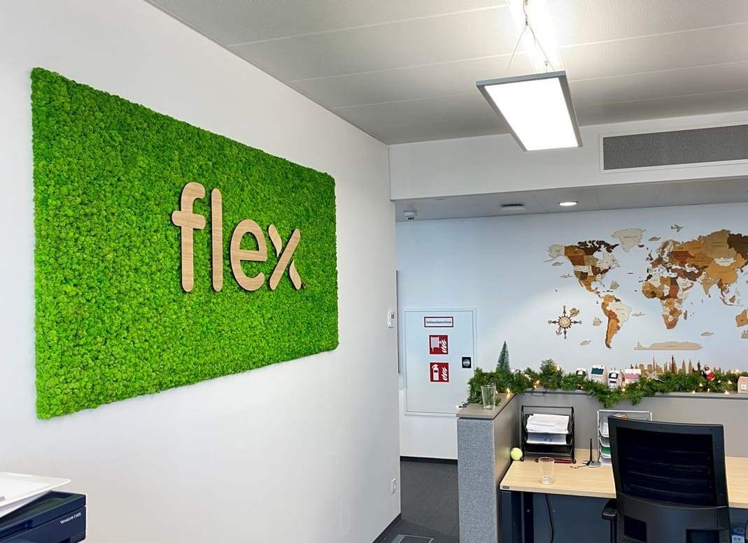 Flex - dubové logo