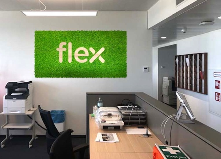 Vizualizácia Flex - dubové logo