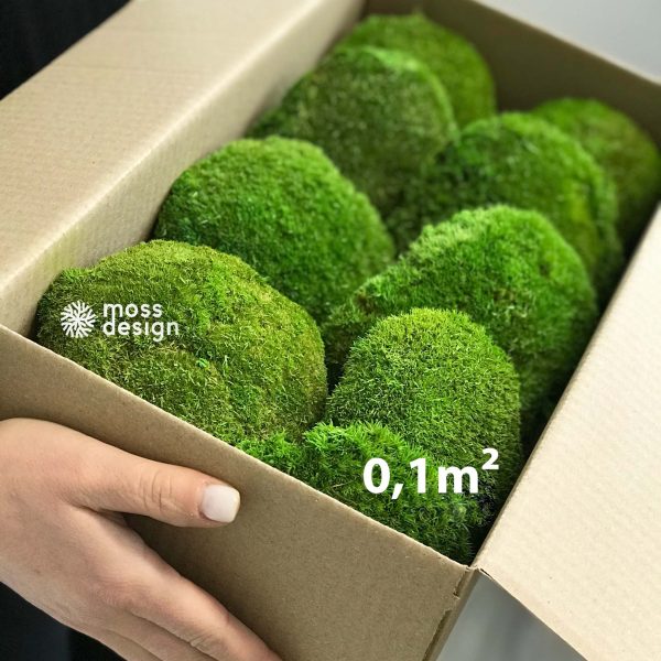 Stabilizovaný kopcovitý mech Bolmoss – 0,1m² - Image 3