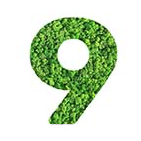 9