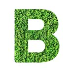 B