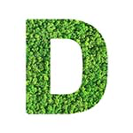 D