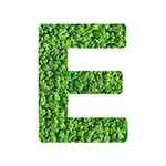 E