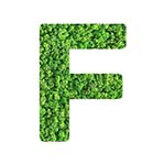 F
