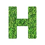 H