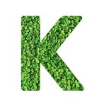K