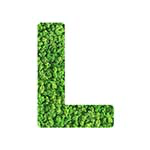 L