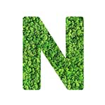 N