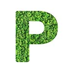P