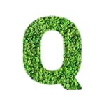 Q