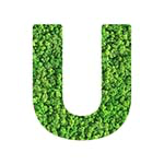 U