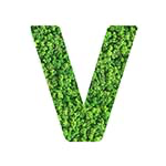 V