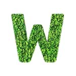 W