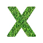 X