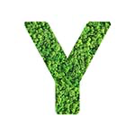 Y