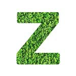 Z